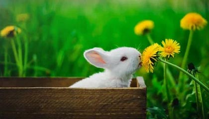 半岛体育-华体会hth平台：打造极致体验的体育娱乐平台